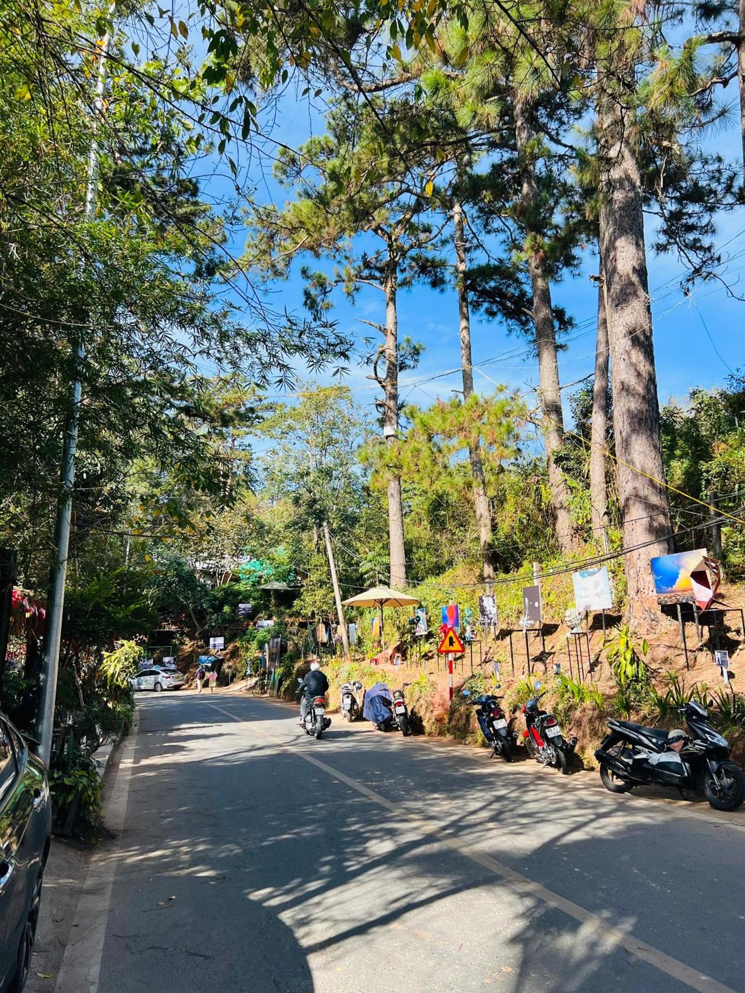 Nature Hotel - Dalat 3 Bagian luar foto