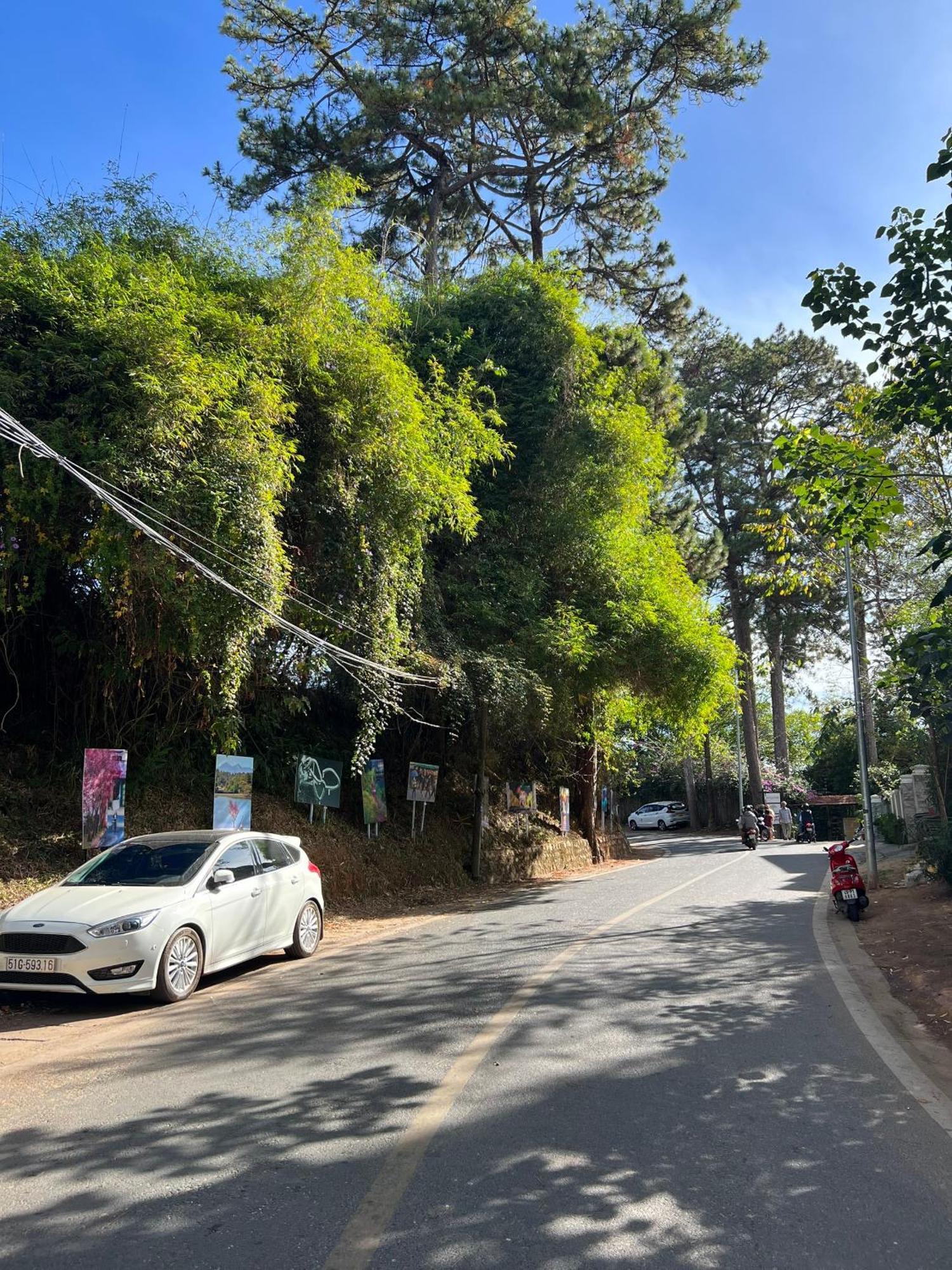 Nature Hotel - Dalat 3 Bagian luar foto